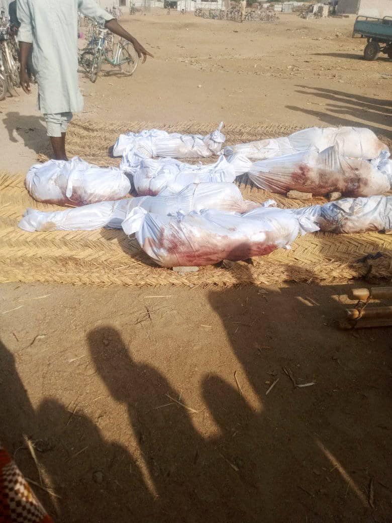 Boko Haram IED kills 7 farmers, injures others in Borno (graphic photos)