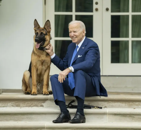 Biden gives away his dog Commander after series of attacks on Secret Service agents at White House