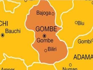Gombe government confirms outbreak of meningitis