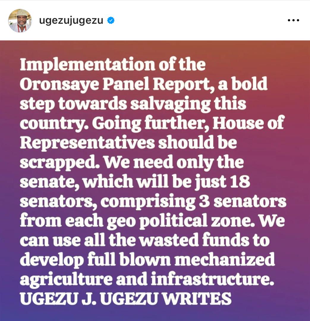 Oronsaye report: House of Representatives should be scrapped - Filmmaker, Ugezu Ugezu