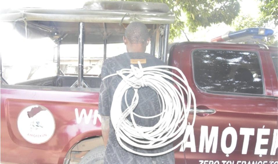 Amotekun nabs serial electric cable thief in Osun