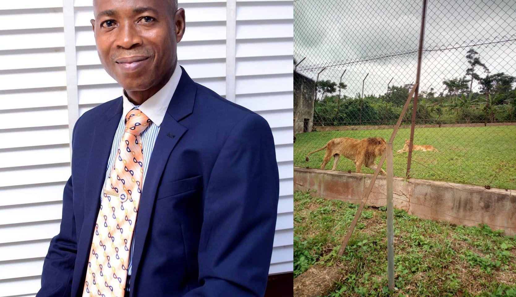 Lion kills OAU zoo keeper while feeding animals