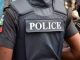 Police arrest vigilante over lover’s murder in Imo