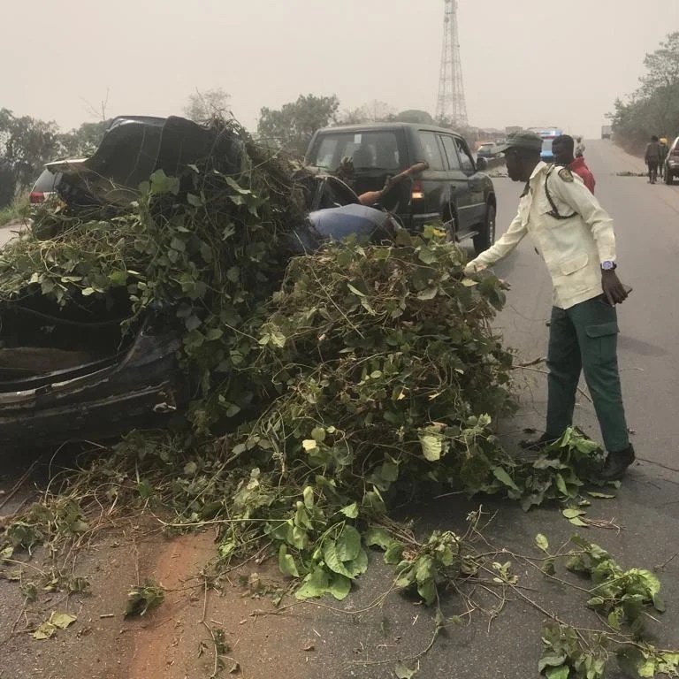 Four die in Ogun auto crash