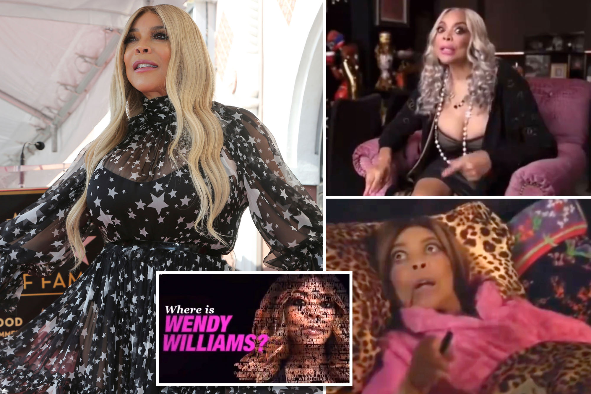 Guardian for Wendy Williams files lawsuit ahead of the premiere of Lifetime