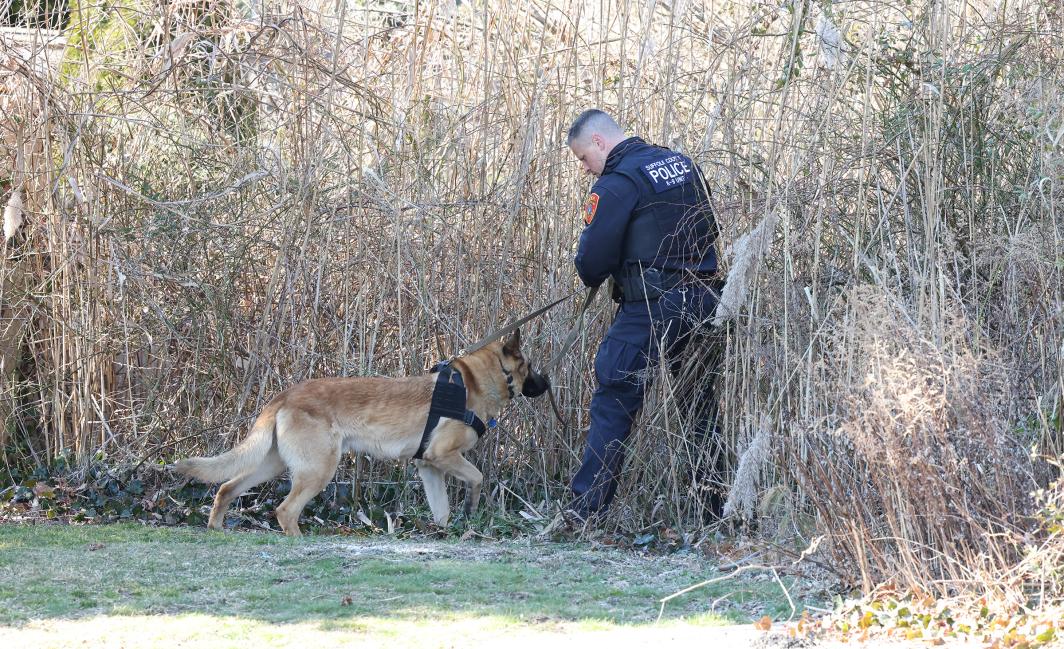 Four arrested as severed body parts of man and woman are discovered in NewYork park