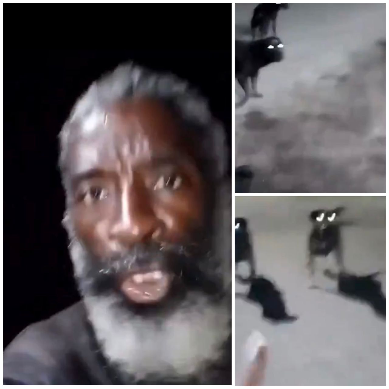 I serve a living God - Man prays fervently in tongues to chase away multiple wild dogs (video)