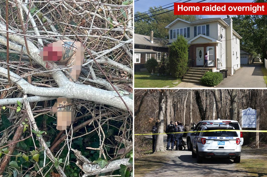 Four arrested as severed body parts of man and woman are discovered in NewYork park