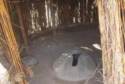 Man, son, one other die while trying to retrieve cellphone from pit toilet