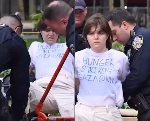 Female student on hunger strike arrested after she chained and glued herself to a bench outside the NYU Tandon School Of Engineering (video)