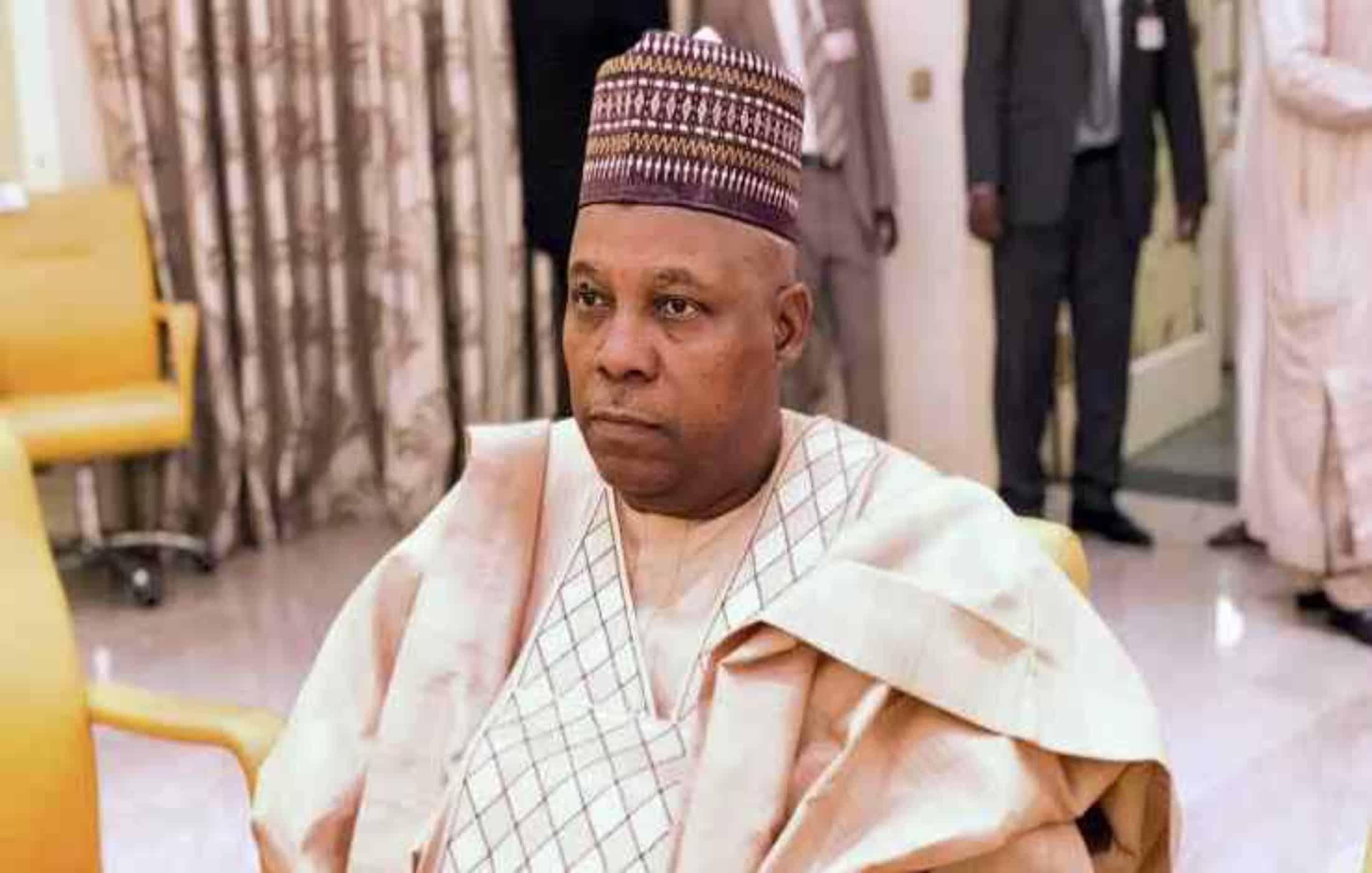 When Naira went haywire and some people were celebrating, inwardly we were laughing at them - Shettima assures Nigerians