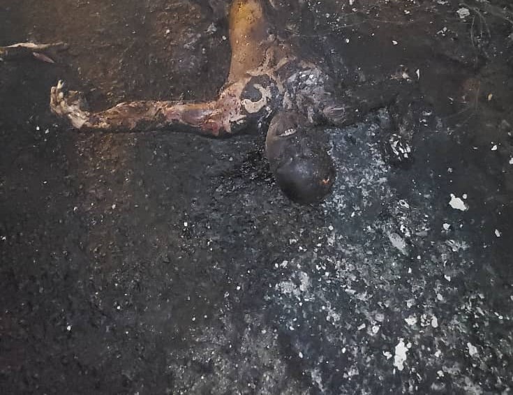 Update: Missing UniAbuja female student burnt to death in auto crash  ? Family (video)