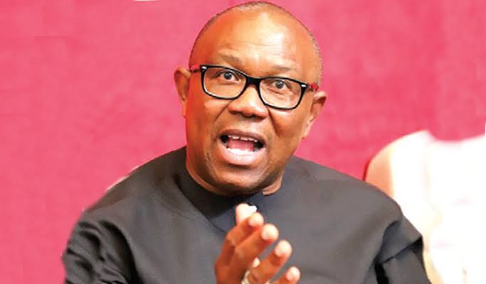 Why embark on another huge project that will not be completed in the next 20 or 30 years - Peter Obi questions FG