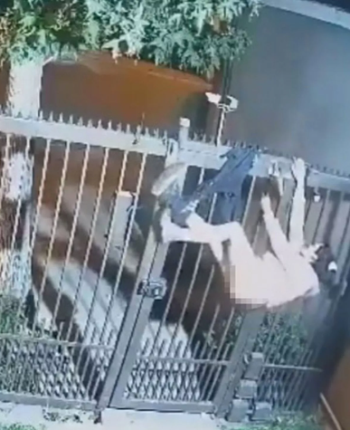 Woman left half-naked after her pants gets stuck on gate while trying to steal from cars