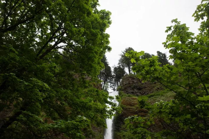 Woman dies after falling 60ft off cliff at Oregon hiking spot