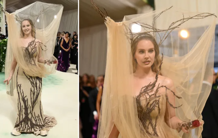 Celebrities stun on the red carpet at the 2024 Met Gala