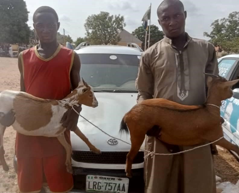 Two suspected goat thieves arrested in Niger state