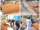 Federal Govt alerts the public over poisoned animals at Kwara cattle market