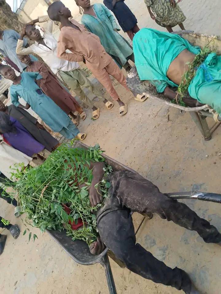 Bandits kill 20 people in Zamfara community