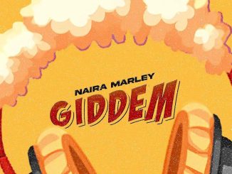 [Music] Naira Marley – Giddem