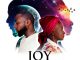 [Music] Angélique Kidjo Ft. Davido – Joy