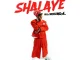 [Music] Bella Shmurda – Shalaye